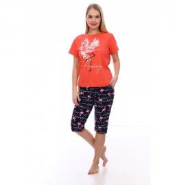 К/Д жен БТ ФЛАМИНГО-2 футболка бриджи